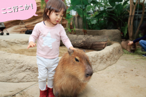 屋内で快適に♪生きものとふれあおう