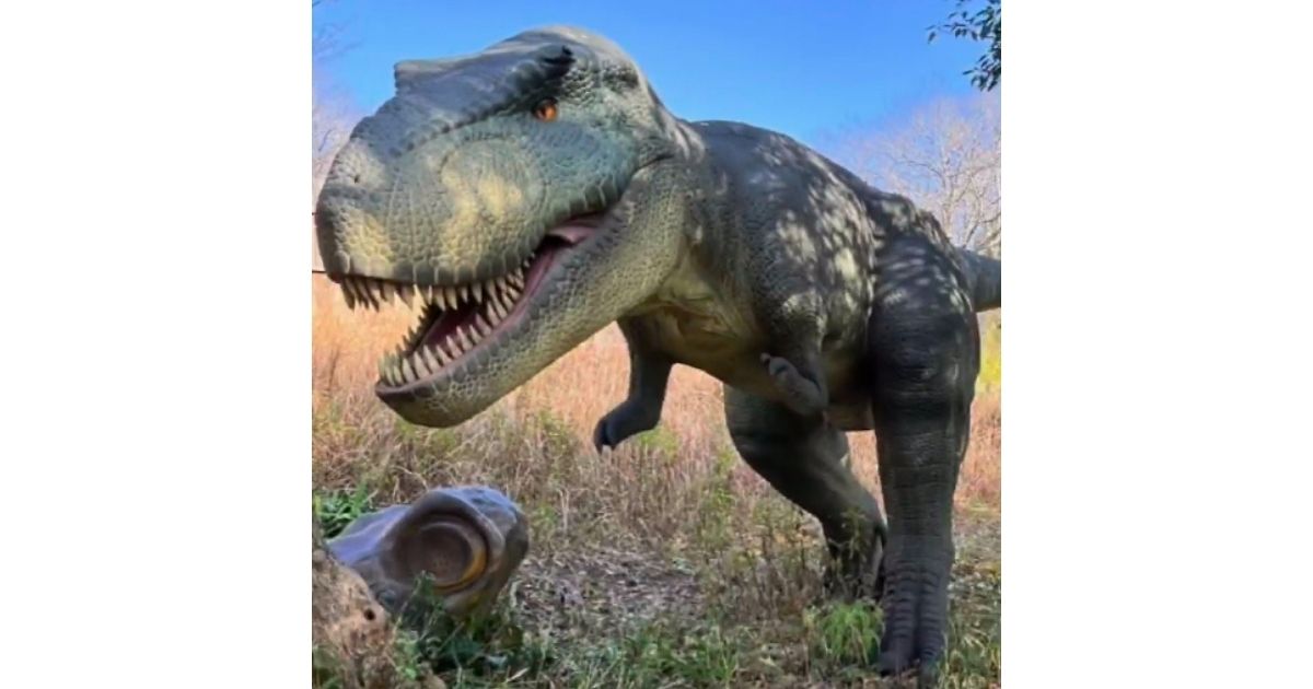 入場料150円 北九州市若松区 響灘緑地グリーンパーク リトル ママ Web