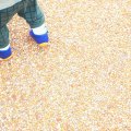 子どもがよく転びます。姿勢が悪いの？
