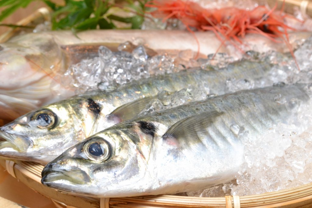 魚料理