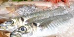 魚料理
