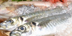 魚料理