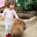 雨でも大丈夫！【大阪・兵庫】生きものとふれあえる屋内動物園