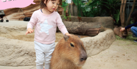 屋内で快適に♪生きものとふれあおう