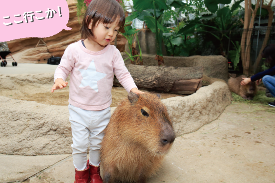 屋内で快適に♪生きものとふれあおう