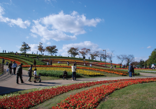 河合町