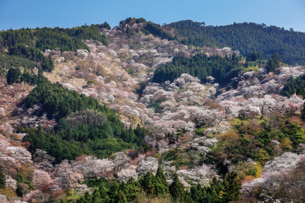 吉野山ロープウェイ