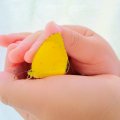 「何が大変？」「どう接する？」人一倍敏感な子ども【HSC】の子育てを語ろう！ママ達の座談会Vol.1