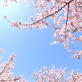 入学式はマナーが大切！初心者ママにおすすめの服装や髪型、当日の持ち物リストを紹介！