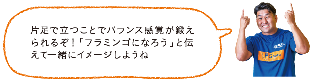 フラミンゴ　先生