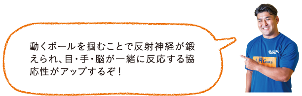 コロコロどっちでしょ