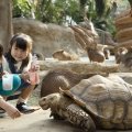 【関西ママおすすめ】かわいい動物に癒される 動物園がある施設５選