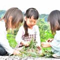 「年長」の子どもの特徴と成長の目安は？子育てのポイントや小学校入学前の準備について