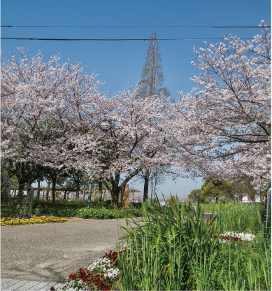農業文化園
