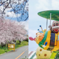 【愛知・名古屋近郊】遊具のある桜・お花見スポット