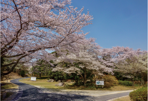 愛知県森林公園