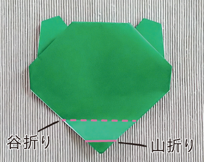 たぬき5