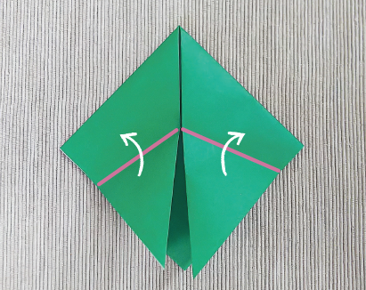 たぬき3