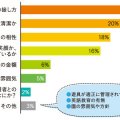 選べるからこそ、事前にしっかりチェック！先輩ママに聞く幼稚園選びのポイント