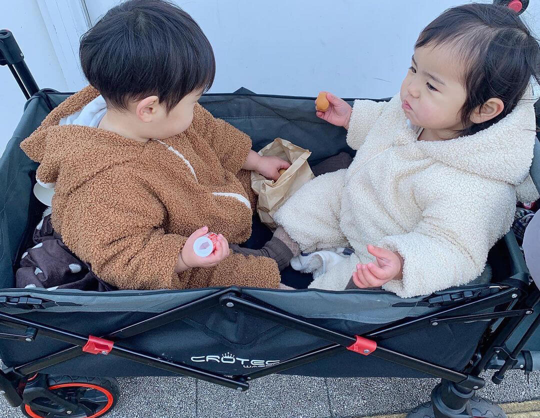 双子ママ必見！便利な乗り物「クロテックワゴンプラス」使ってみた