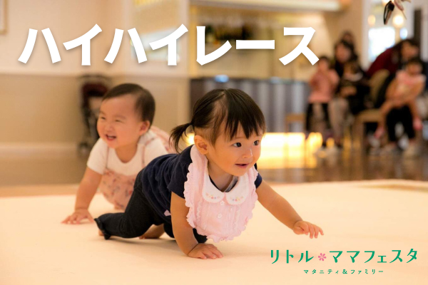 ハイハイレース