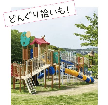 どんぐり拾い