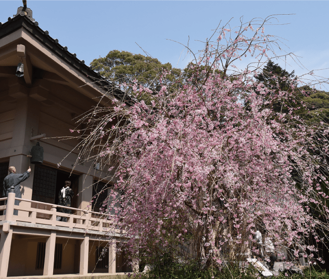 ぐるっと宗像Vol4＿鎮国寺