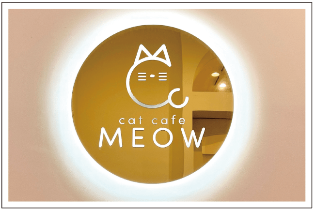リトルトリップー猫カフェ