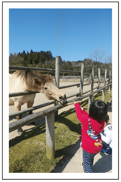 三瀬ルベール牧場ー馬