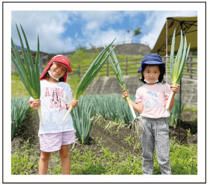 グリーンファーム鹿児島市観光農業公園ー野菜収穫