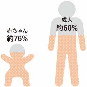大人とこどもの水分量の違い