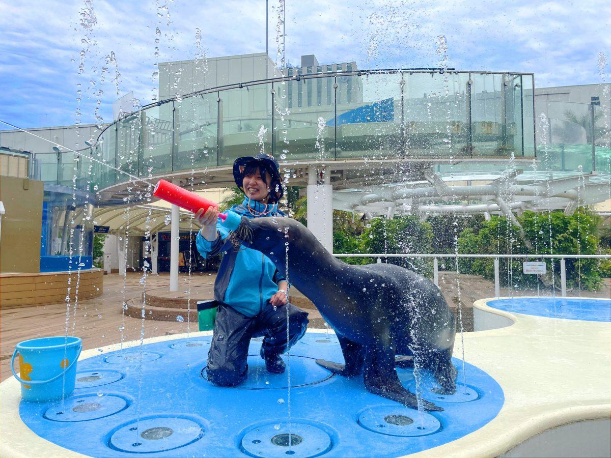 サンシャイン水族館の2023年夏イベント！モーニングルーティーン公開や